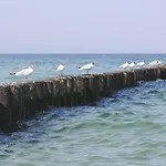 Residenz Am 2-41 Apartamento Zingst