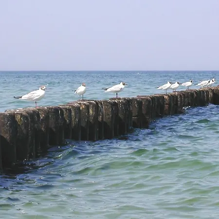 Residenz Am 2-41 Апартаменты Цингст